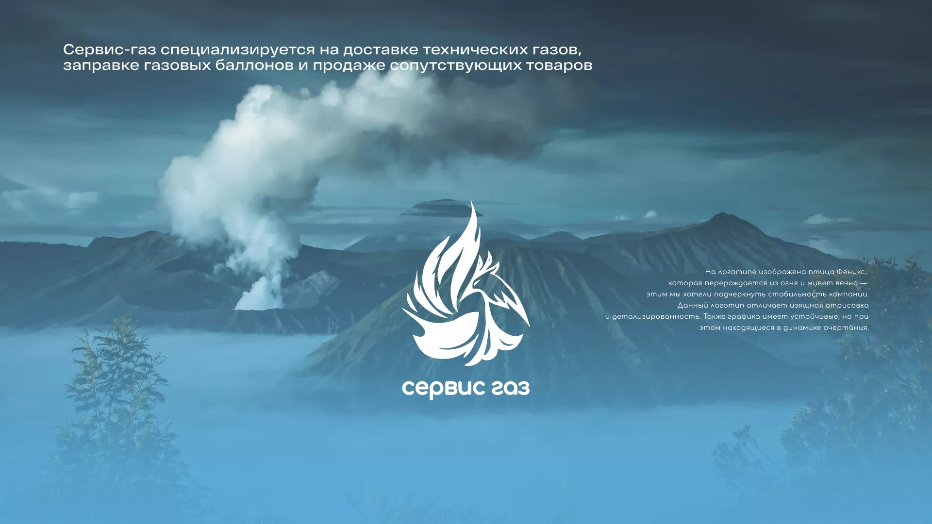 Создание сайта компании «Сервис газ» в Красногорске