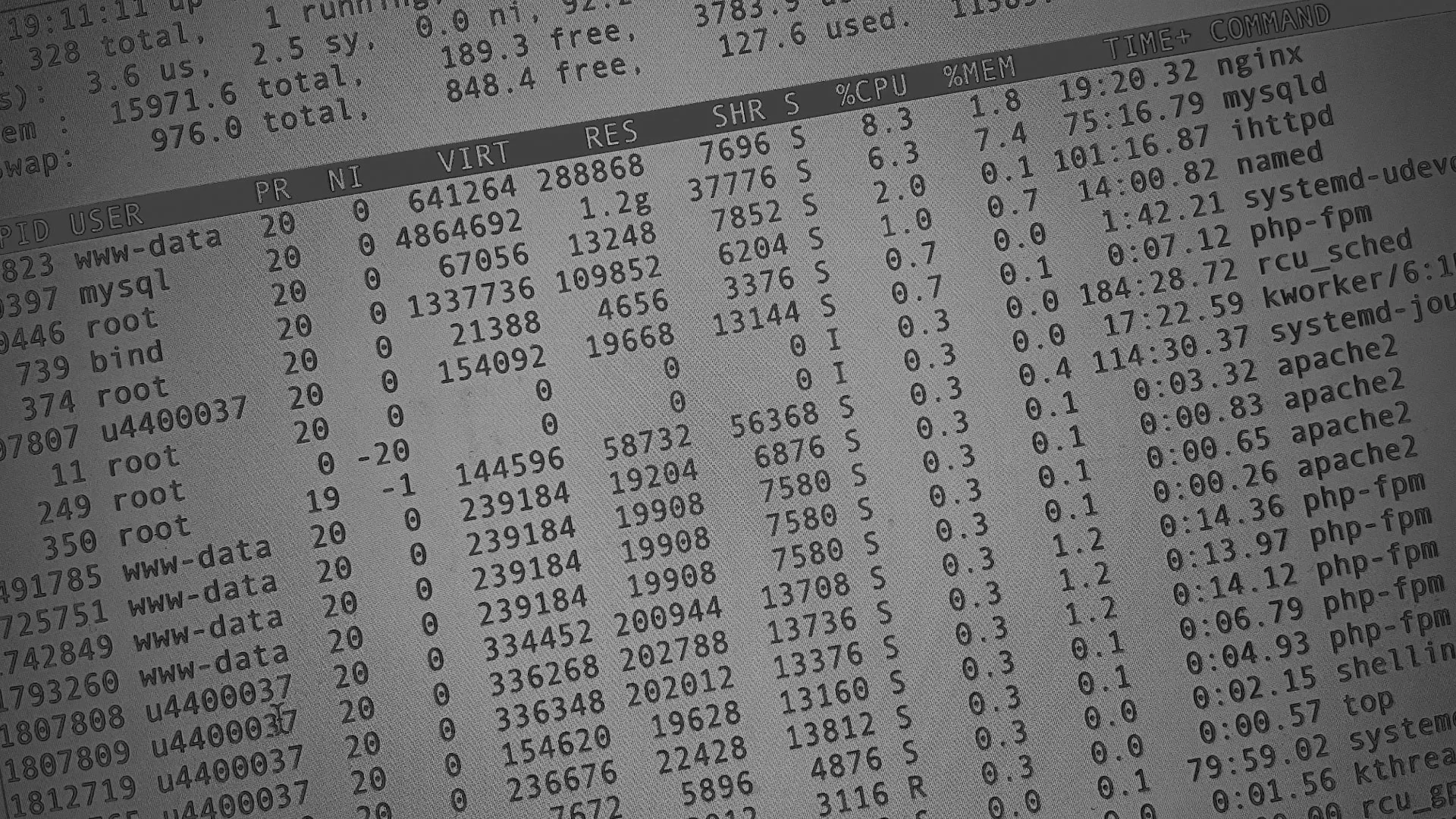 Настройка сервера в Красногорске